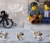 thumbs_140520_klaine_stooppigeons